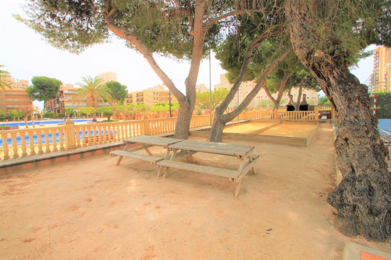 Apartamento Casaturis 1ª Linea Muchavista Urb. Las Lanzas C106 El Campello Dış mekan fotoğraf